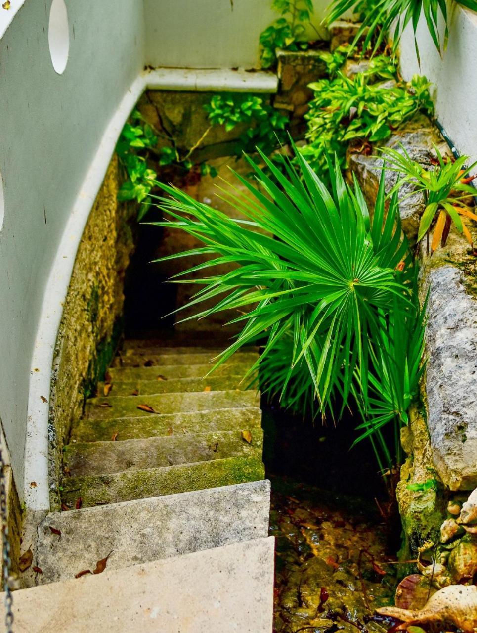 El Tropical Playa Del Carmen Otel Dış mekan fotoğraf